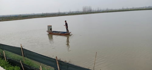 湖北汉川畅通水产 口粮 运输保障渔业生产